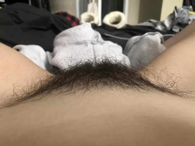 Idek what to do with this by Omphidian