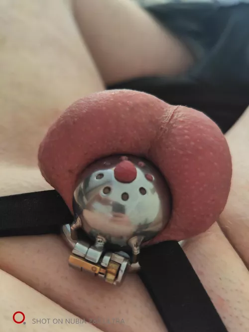 if you put 50 likes, I will permanently close and break the key on the video by No_Object_5637