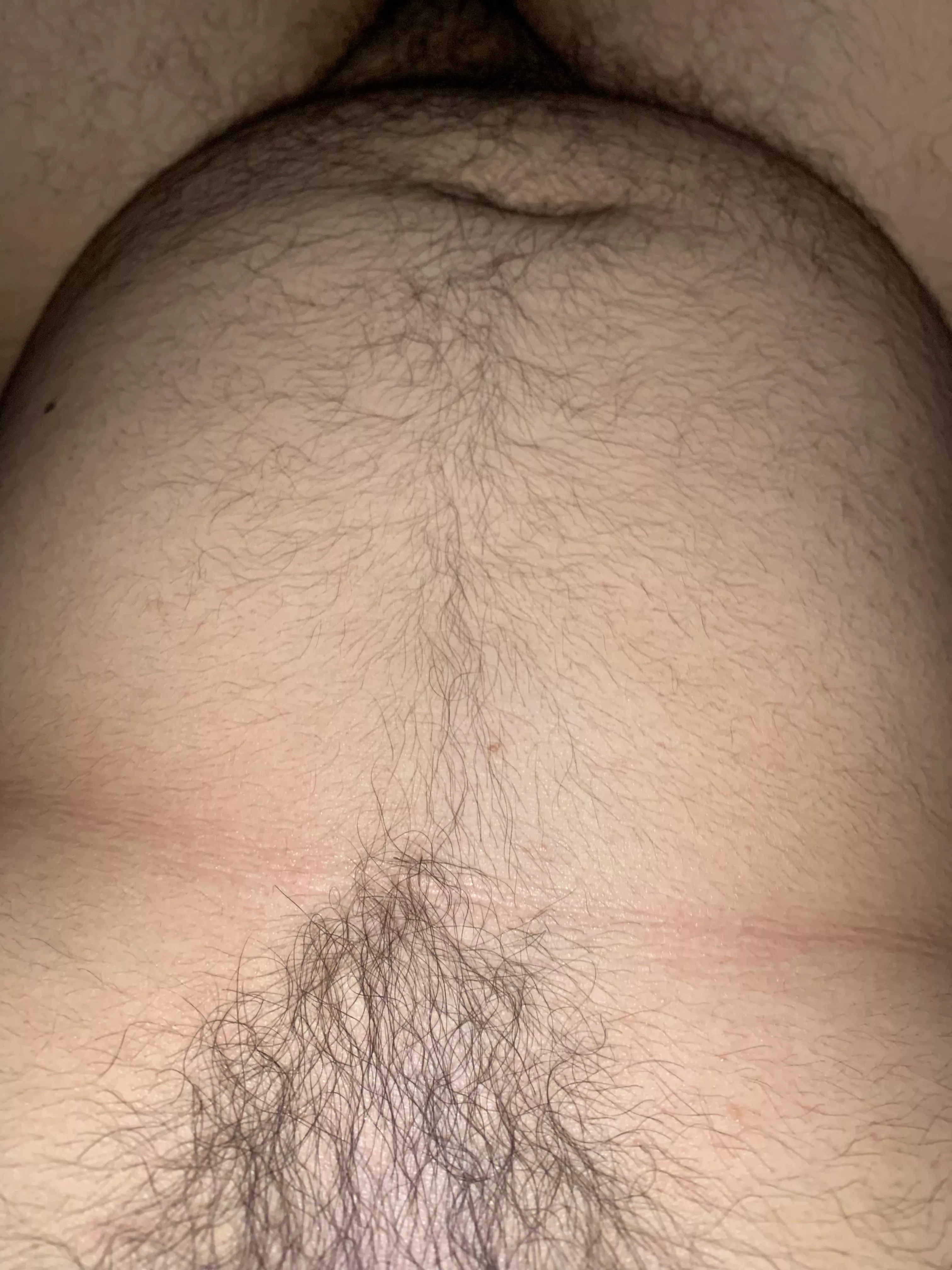 M 20 chubby bear vers 4 other chubs hmu on Instagram @chubear420 posted by DirectionIll5152