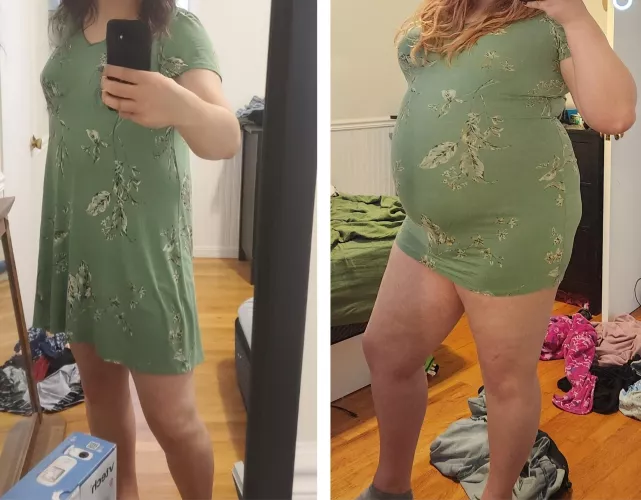 Same dress, 100 pounds more ;) by Ok_Marionberry_9118