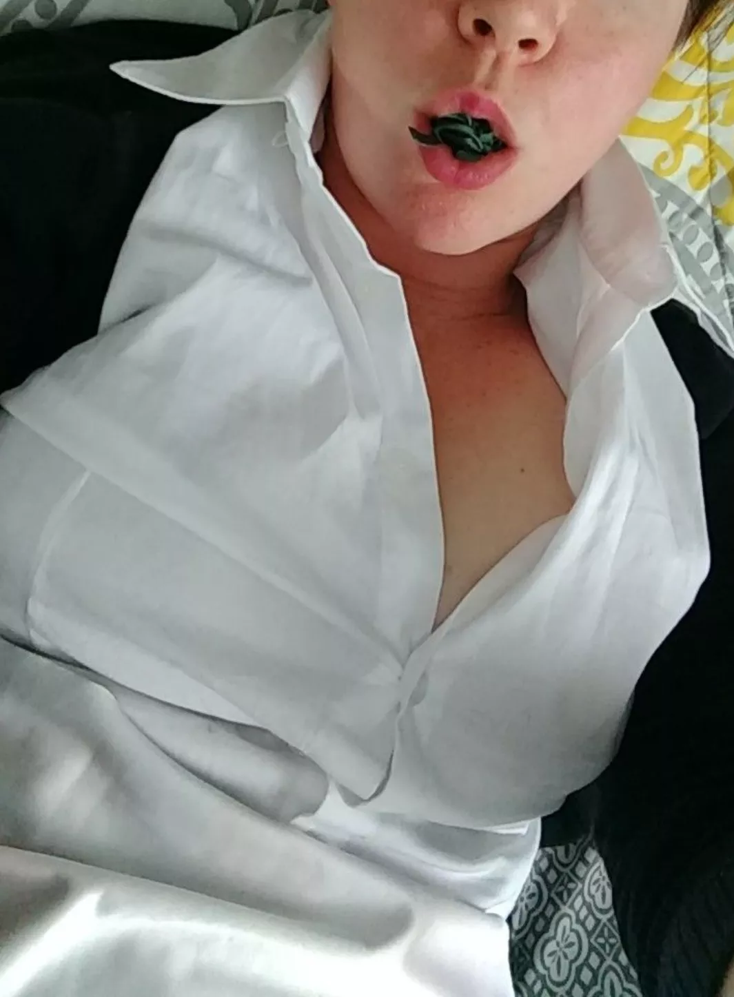 Schoolgirl panties posted by Pir8Rbrts2