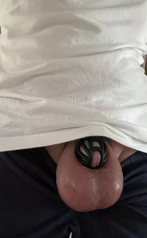 Shiny shaved balls by Agreeable_Banana6336