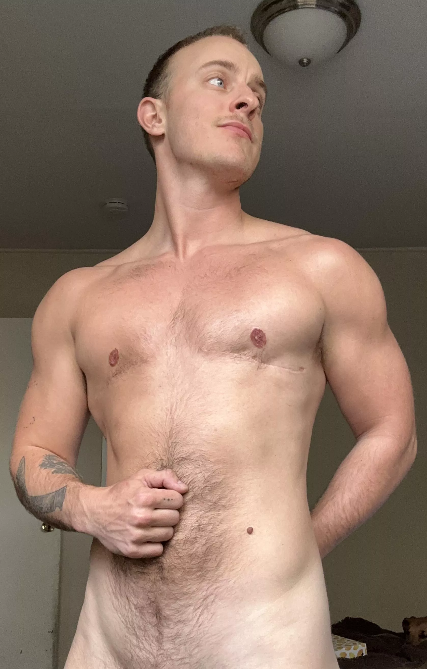 Submissive FTM boys allowed? posted by Ftmlavaboy99