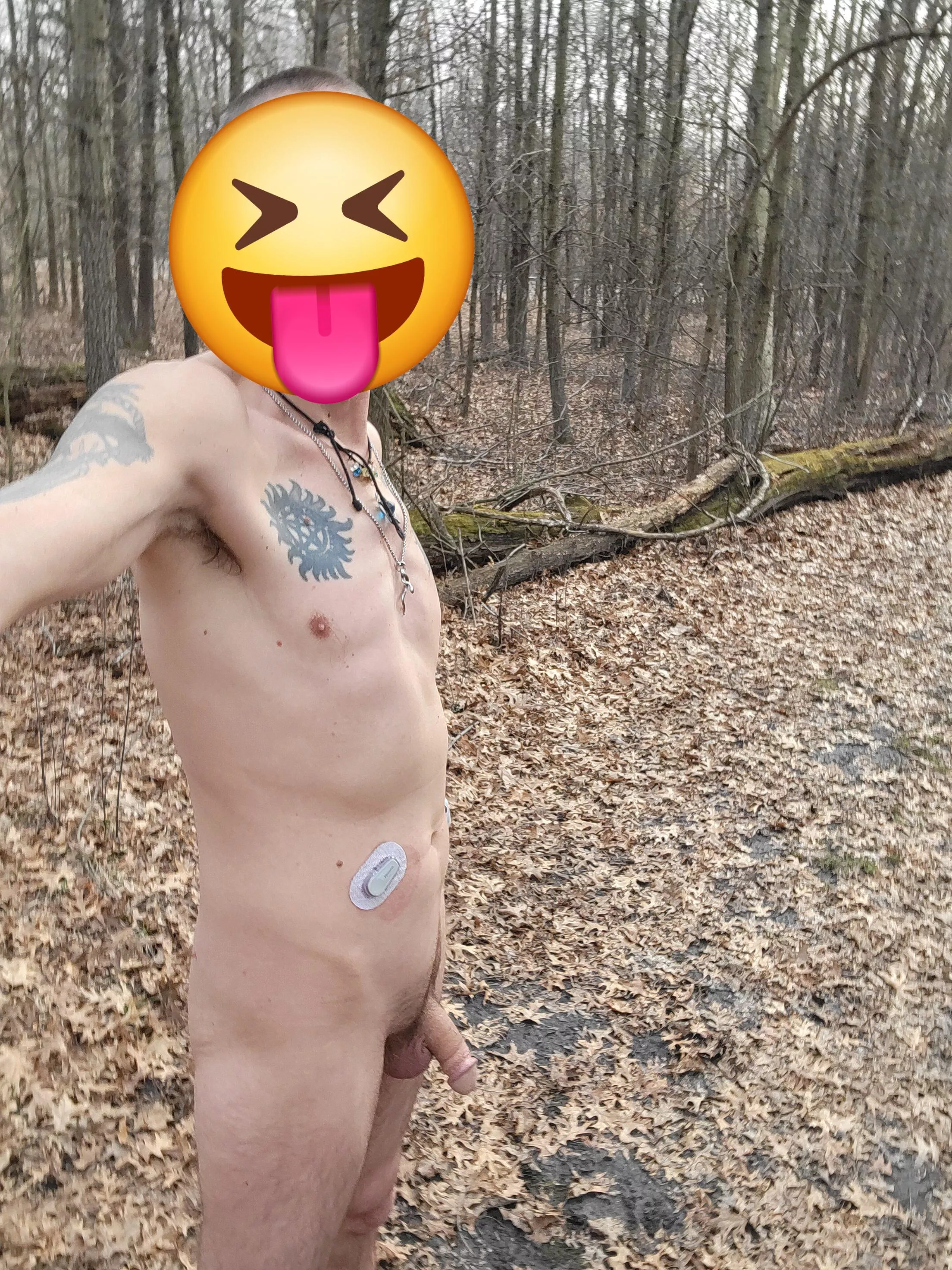 Took advantage on our last nice day here in Indiana. Can't wait until the warmer weather is here to stay for awhile. I miss my long nature hikes. posted by Havoc7724