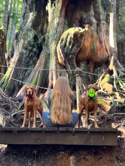 Well I’m back from my mini vacation 🥰 the dogs decided to match my hair apparently by RubyredRapunzel