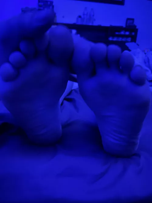 Wifey said I could show yall her soles tn F24 by BengalsandBourbon