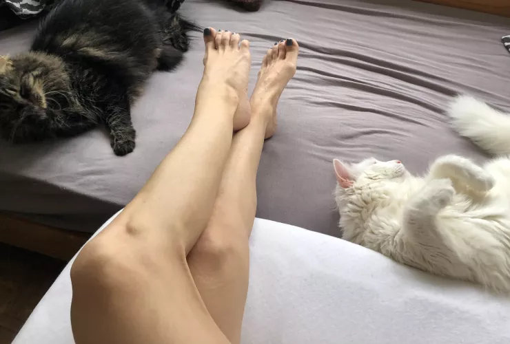 Will we last until the weekend? It's only Tuesday by albastoes