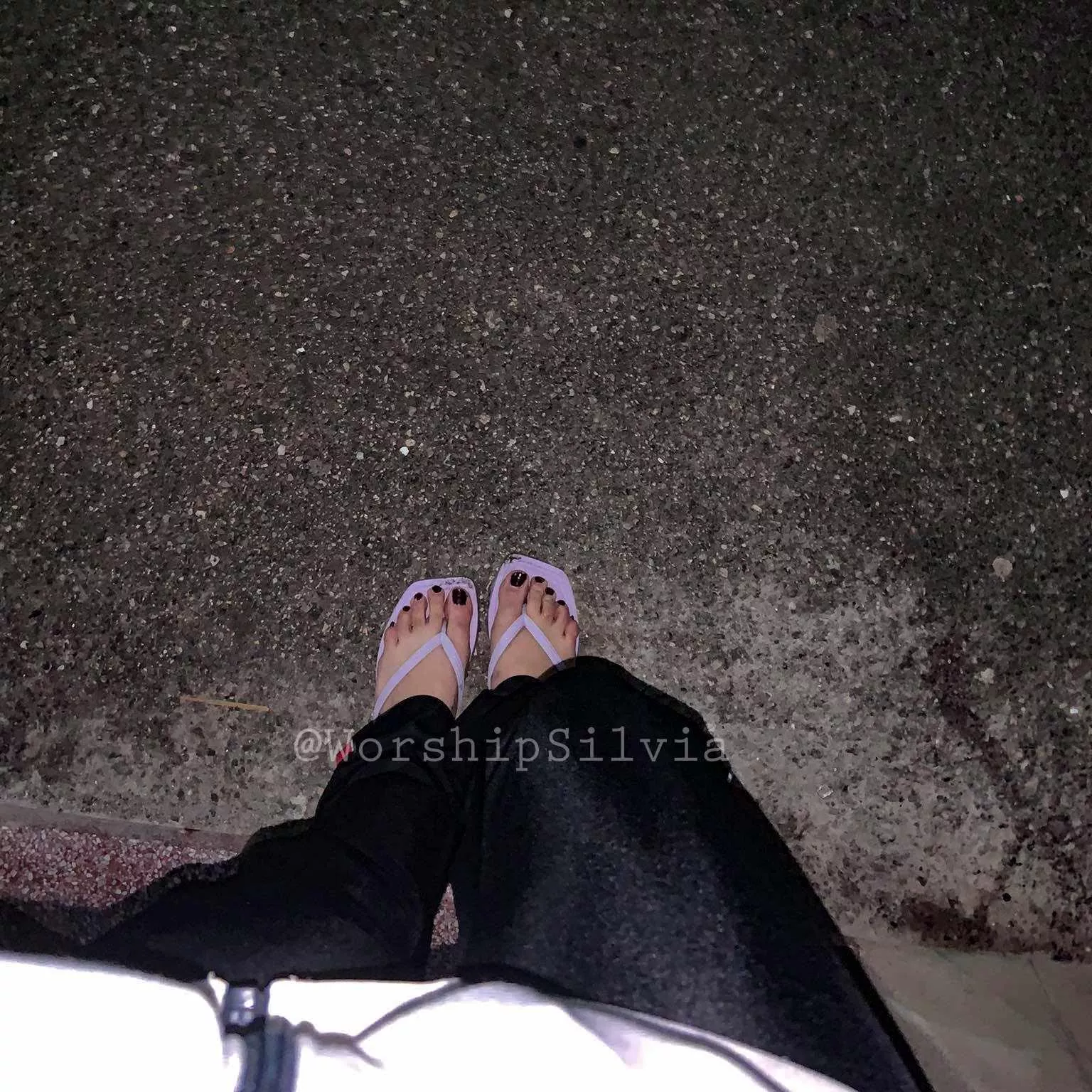 Would you let me dom you? posted by WorshipSilvia