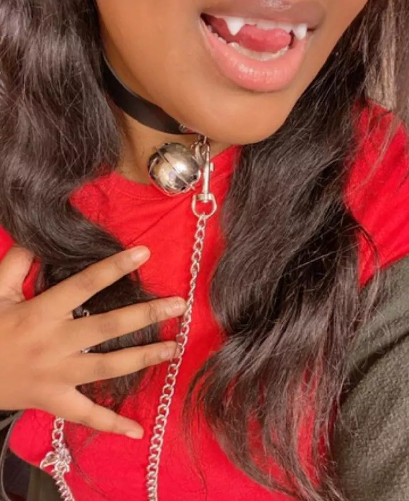 Would you want to own a negrokitty? posted by KempersPlaything