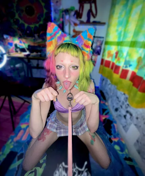 Your pet wants to play 🐶🥺 by Solomond00