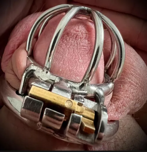 10% dick 90% disappointment by Anonymous_subb