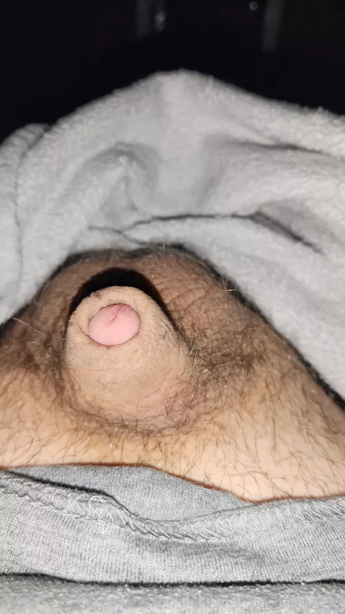 Anyone want to ft on snap m21 by Content_Service_2455