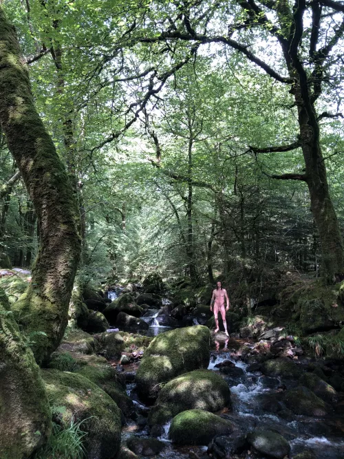 Be honest, did you Zoom? by Josh_of_the_jungle