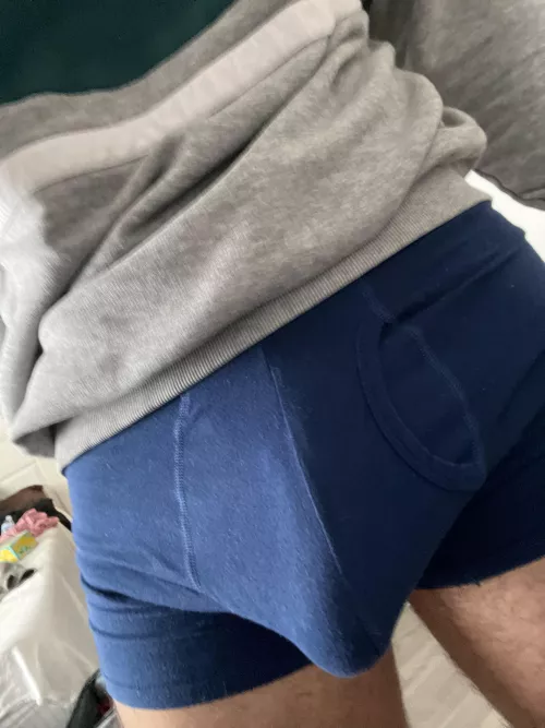 Begging to be let out when I should be studying by Gooneddream