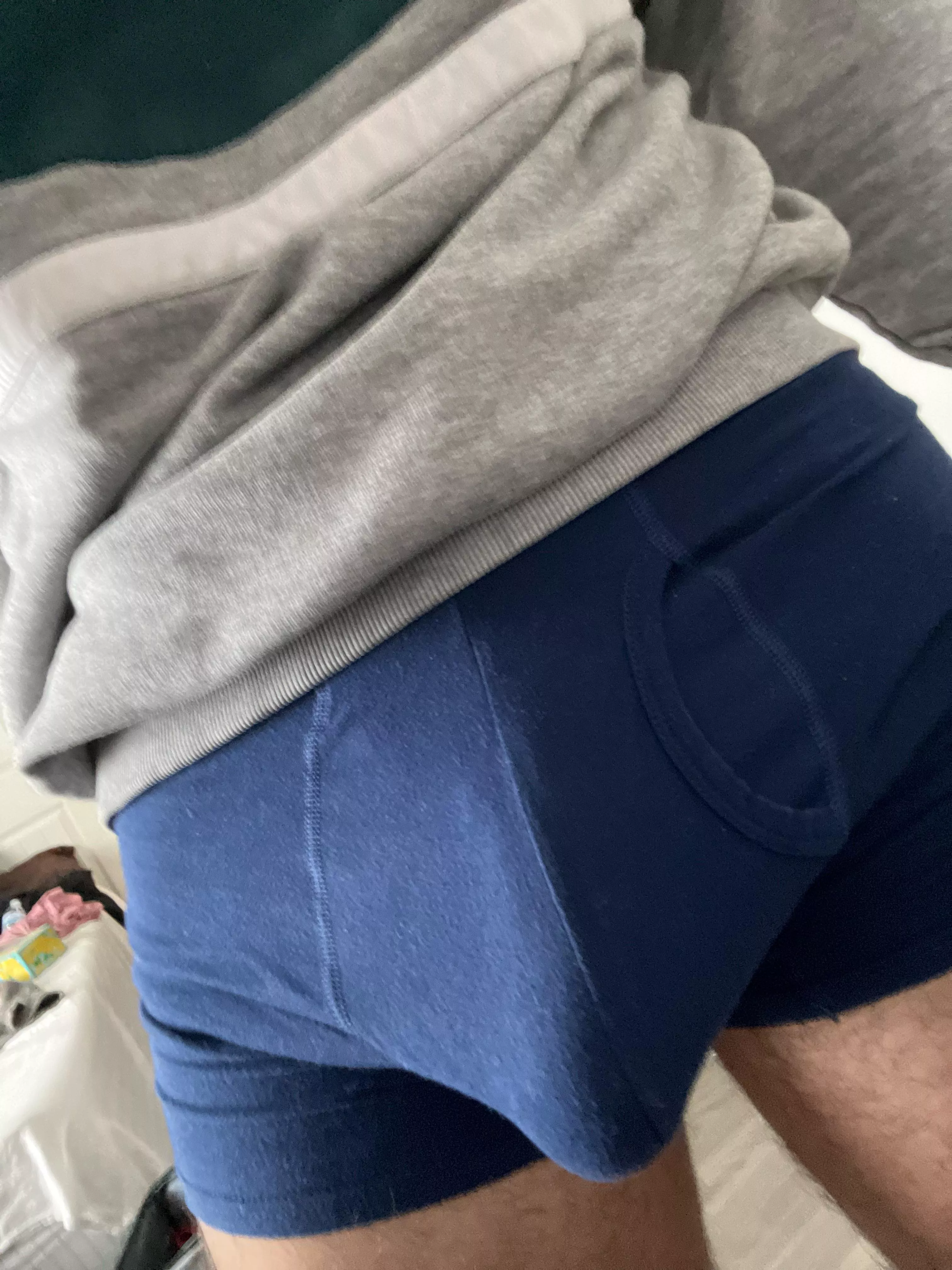 Begging to be let out when I should be studying posted by Gooneddream