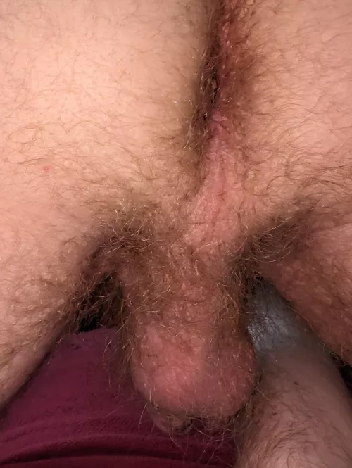 Do you like it hairy? by responsive-banana