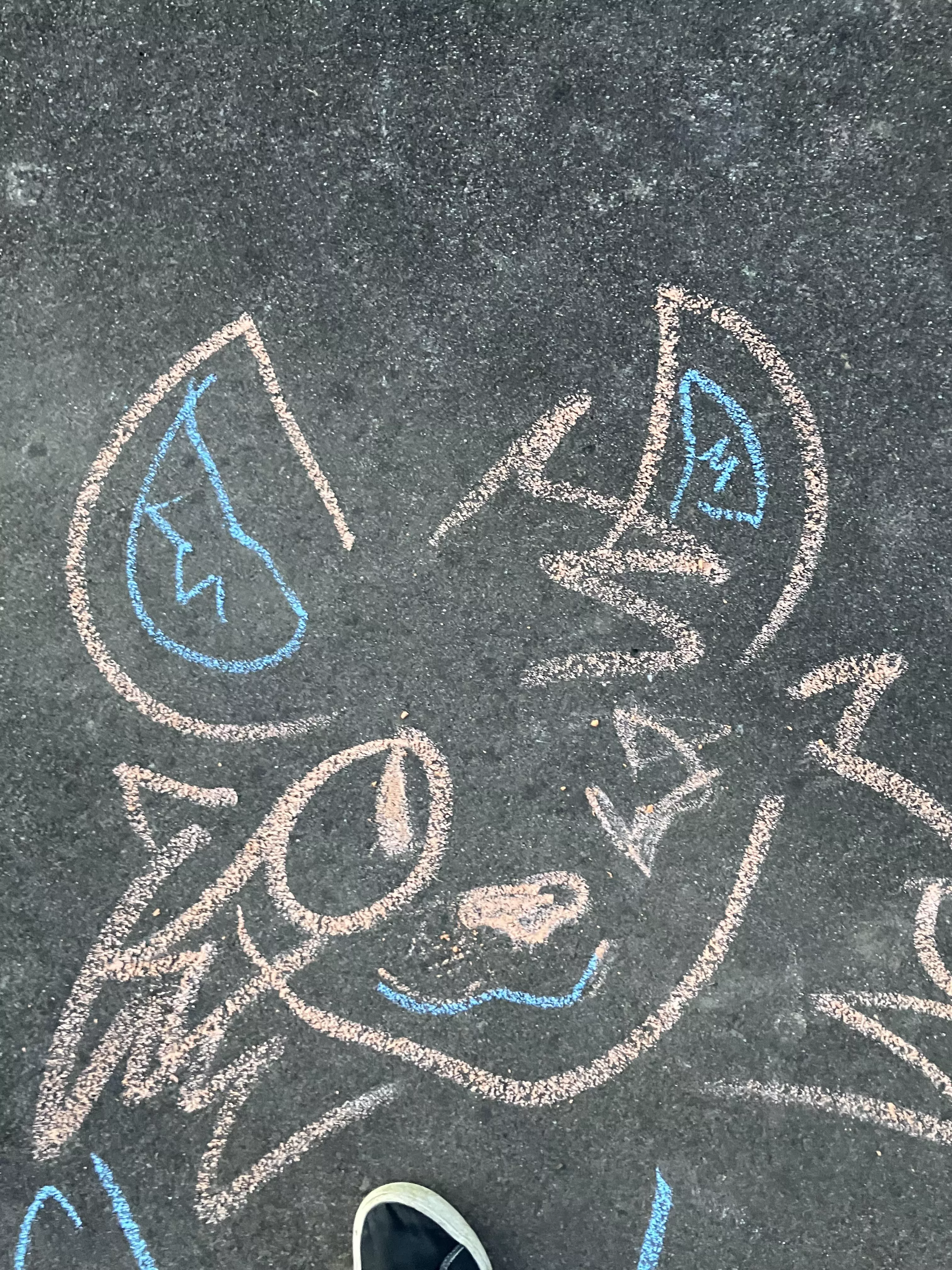 Got bored sooo- Chalk:3 posted by Smudge_the_Shark