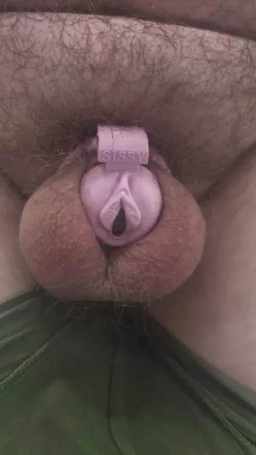 Got myself a new cage (yes i need to trim) by NovusTheF0x