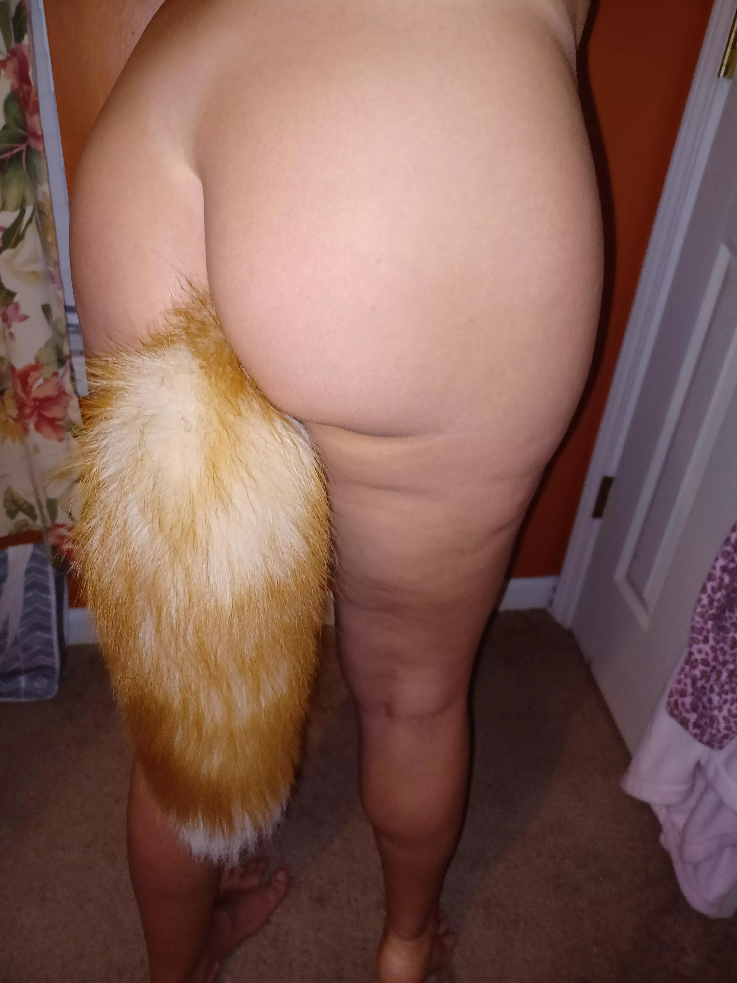 I Love My Tail posted by NaughtyFox85