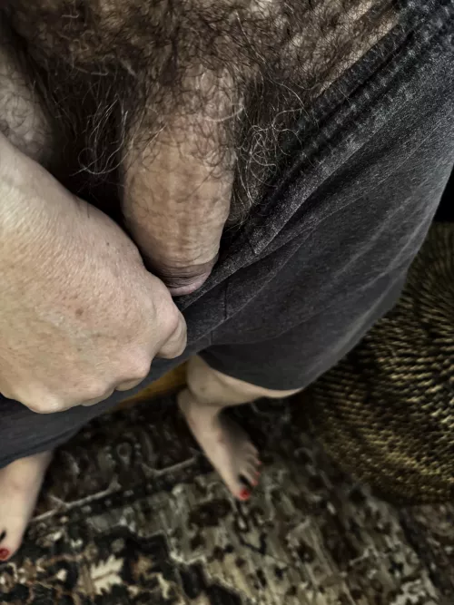 Morning bush by DisastrousLock1136