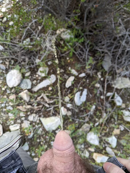 Morning 🥱 by NudePlankingFox