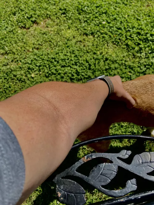 Sunny day forearm by Aggravating-Roof9834