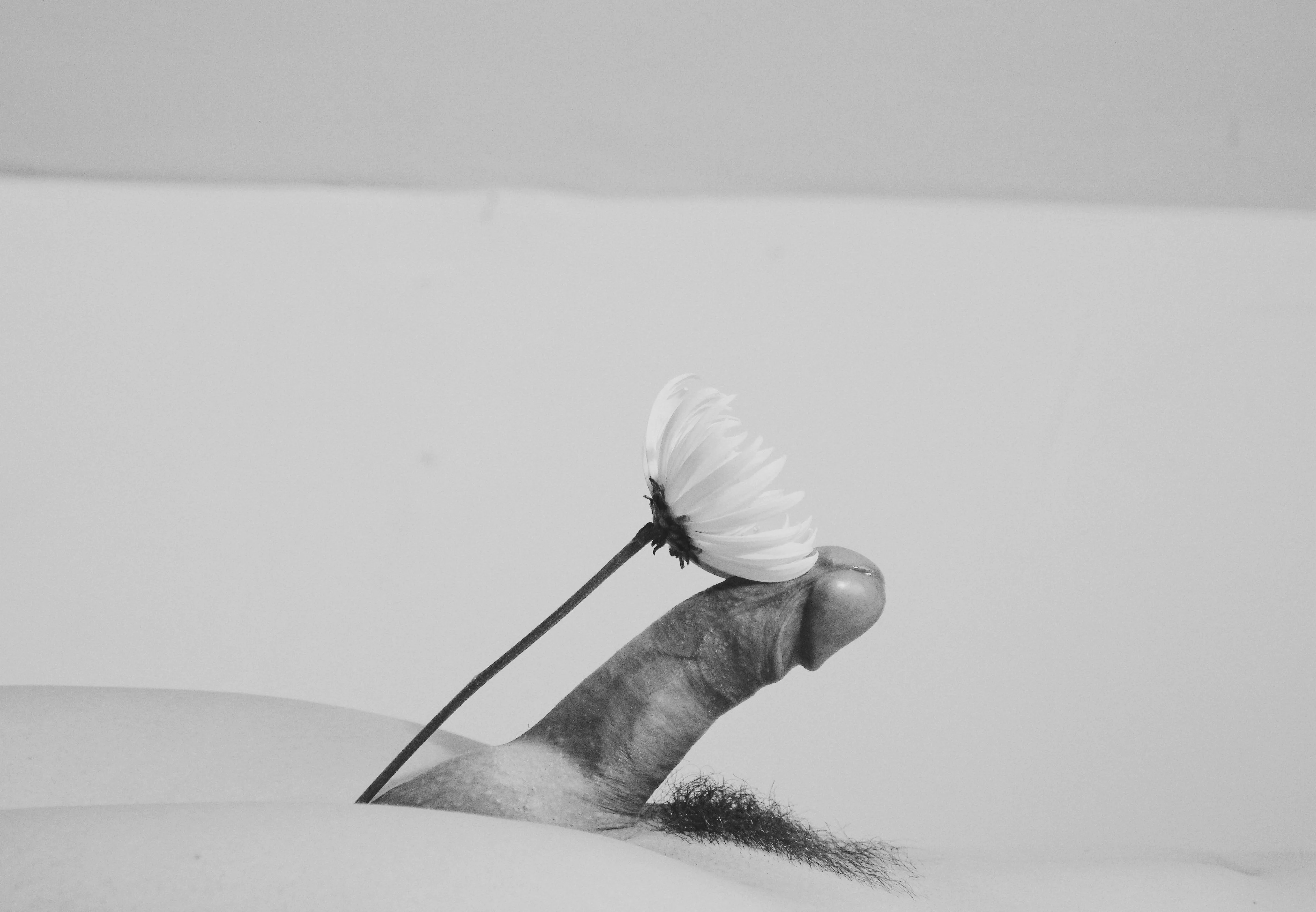 They are blooming posted by saguaro1391