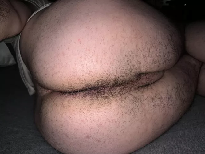 Would u breed? HMU by hairybubblebutt33