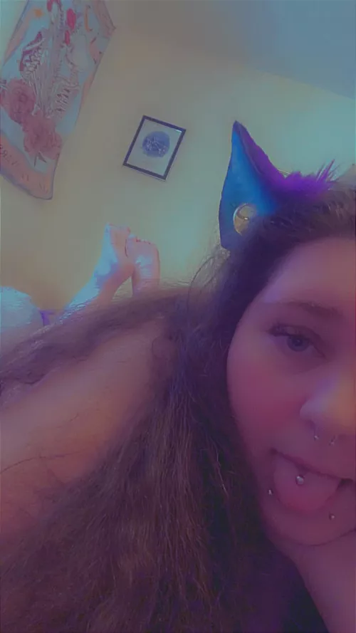 Would you pet me? 😻 by AbbiSweets555