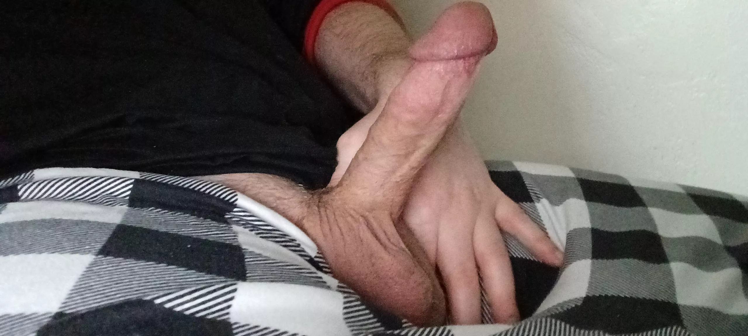 Would you suck it while I play rdr2? (19) posted by RandomHoomon