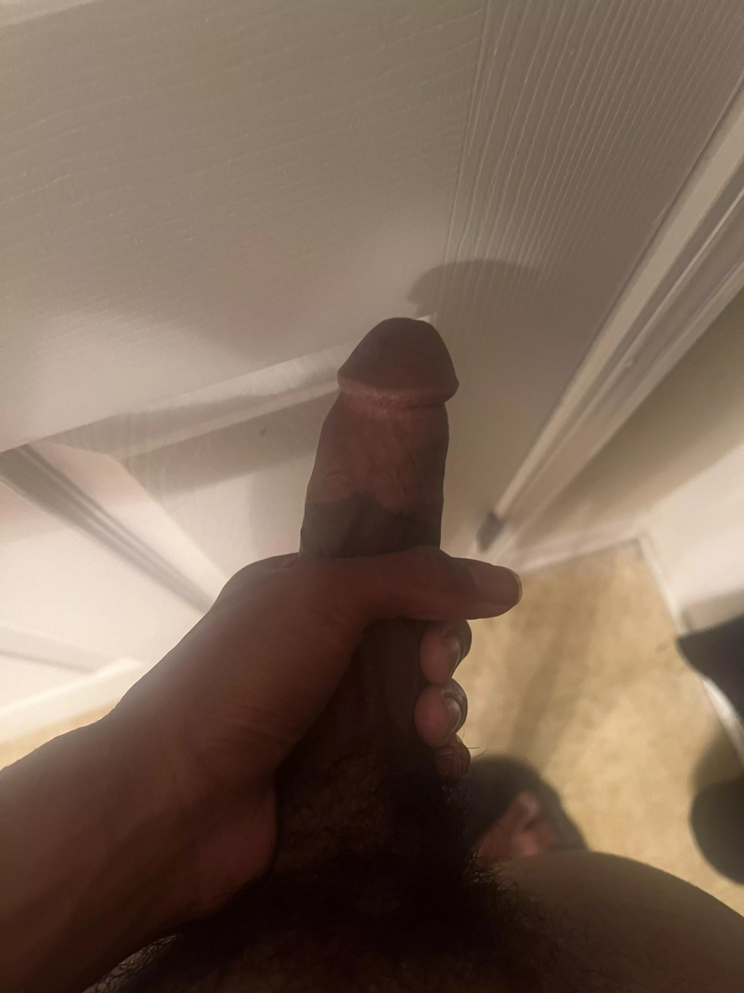 18 HARD ASFF RN SC: zanehez posted by CommissionFun5799