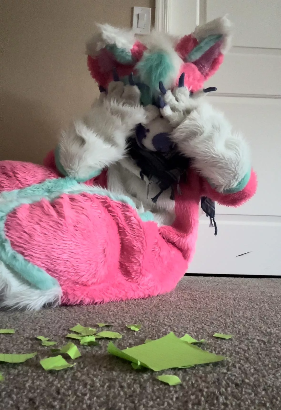 Bad dog! posted by Ancient_Summer_1833