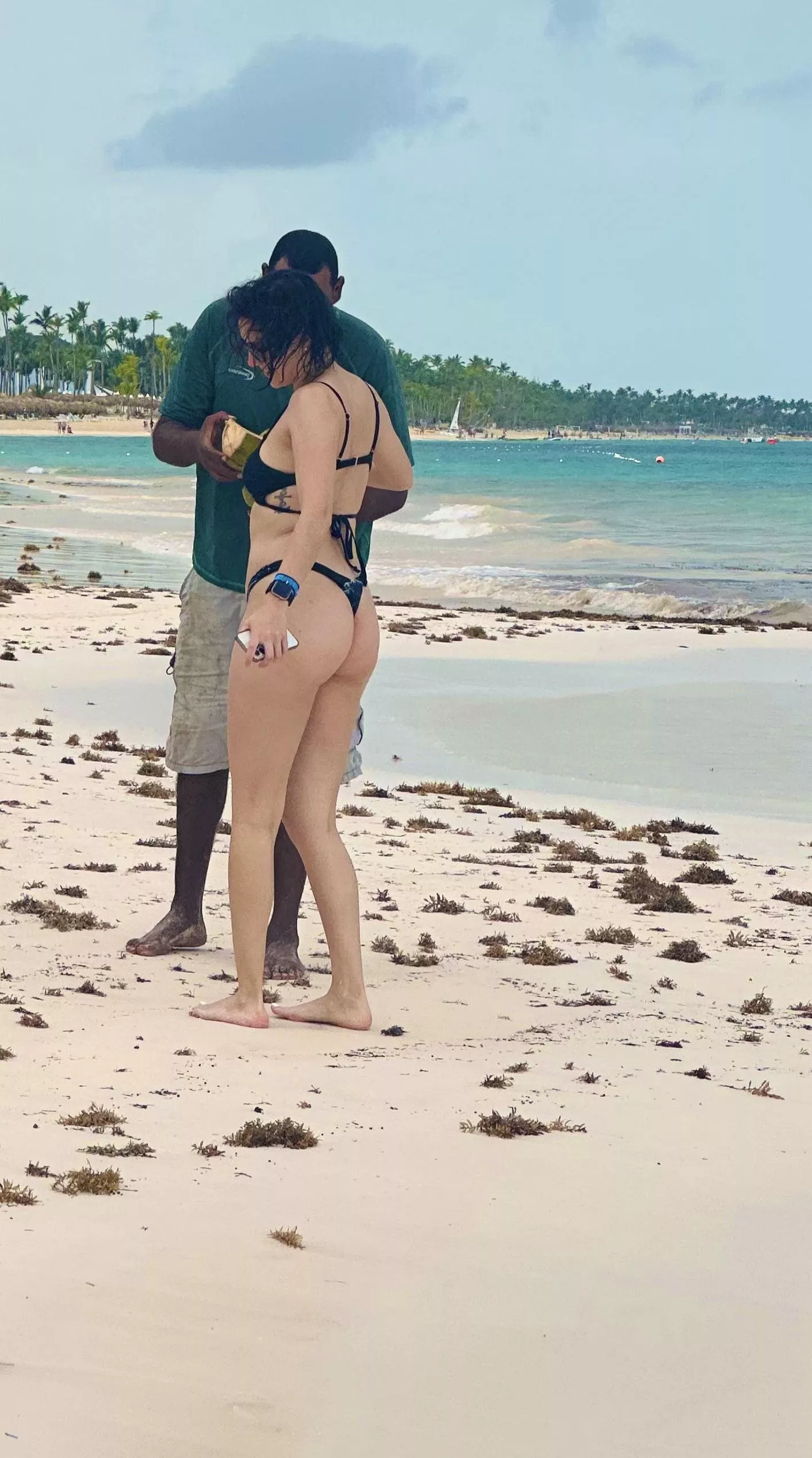 Coconuts posted by CestDeux