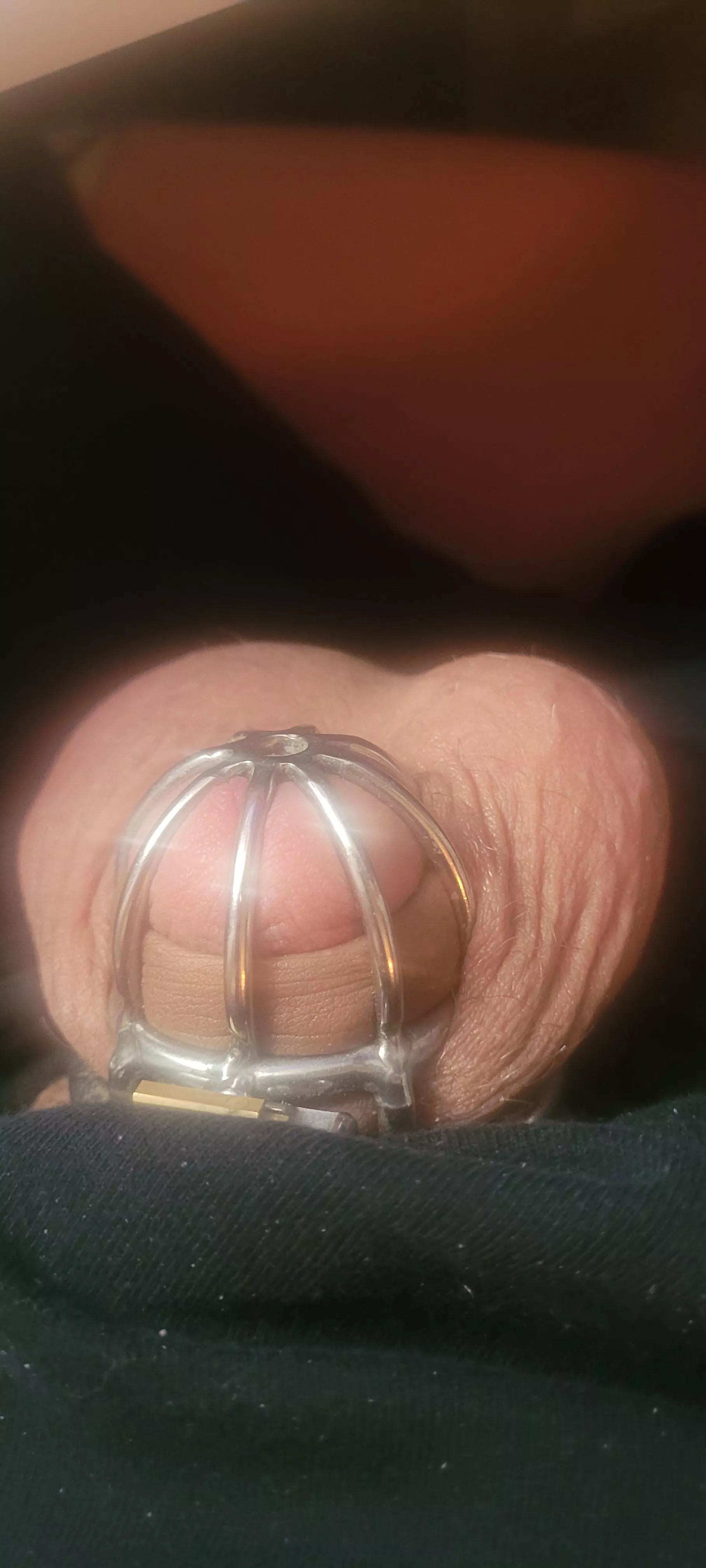 Finally made it a week! posted by PheCagePet