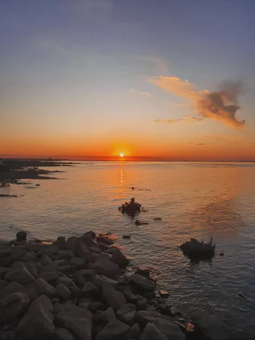 How happy it makes you to see this photo? 💘 by Hot_Turnover7465