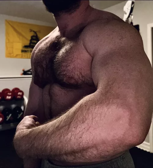 how many push-ups would you guess I could do in a row? by chepuey