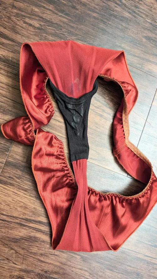 I make a mess when satin touches my 🐈 can you help me clean her up? by Limp_Trifle_9832