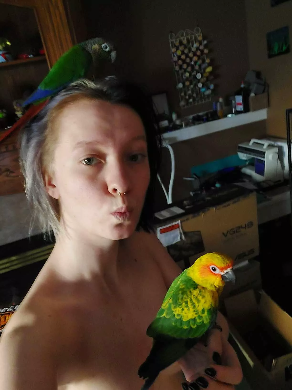 Look 3 Birds posted by No_Interview_6489