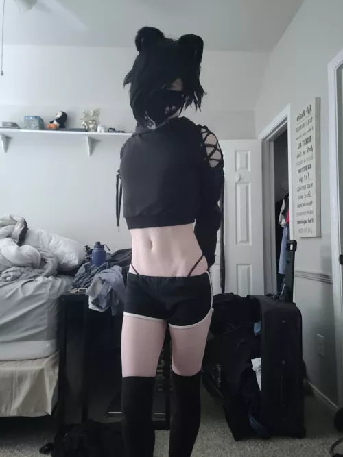 Love being a black and white kitty by Avaxen