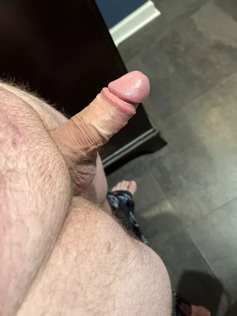 My morning wood from this morning. Haven’t been able to get rid of it since. by No-Initiative6036