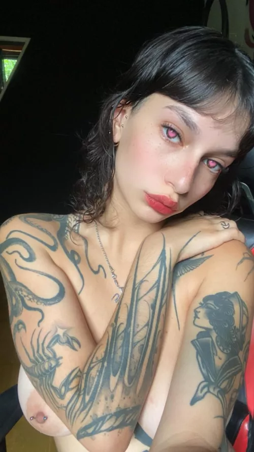 never really had a real cream pie, who will be my test bunny... by Evergreeson