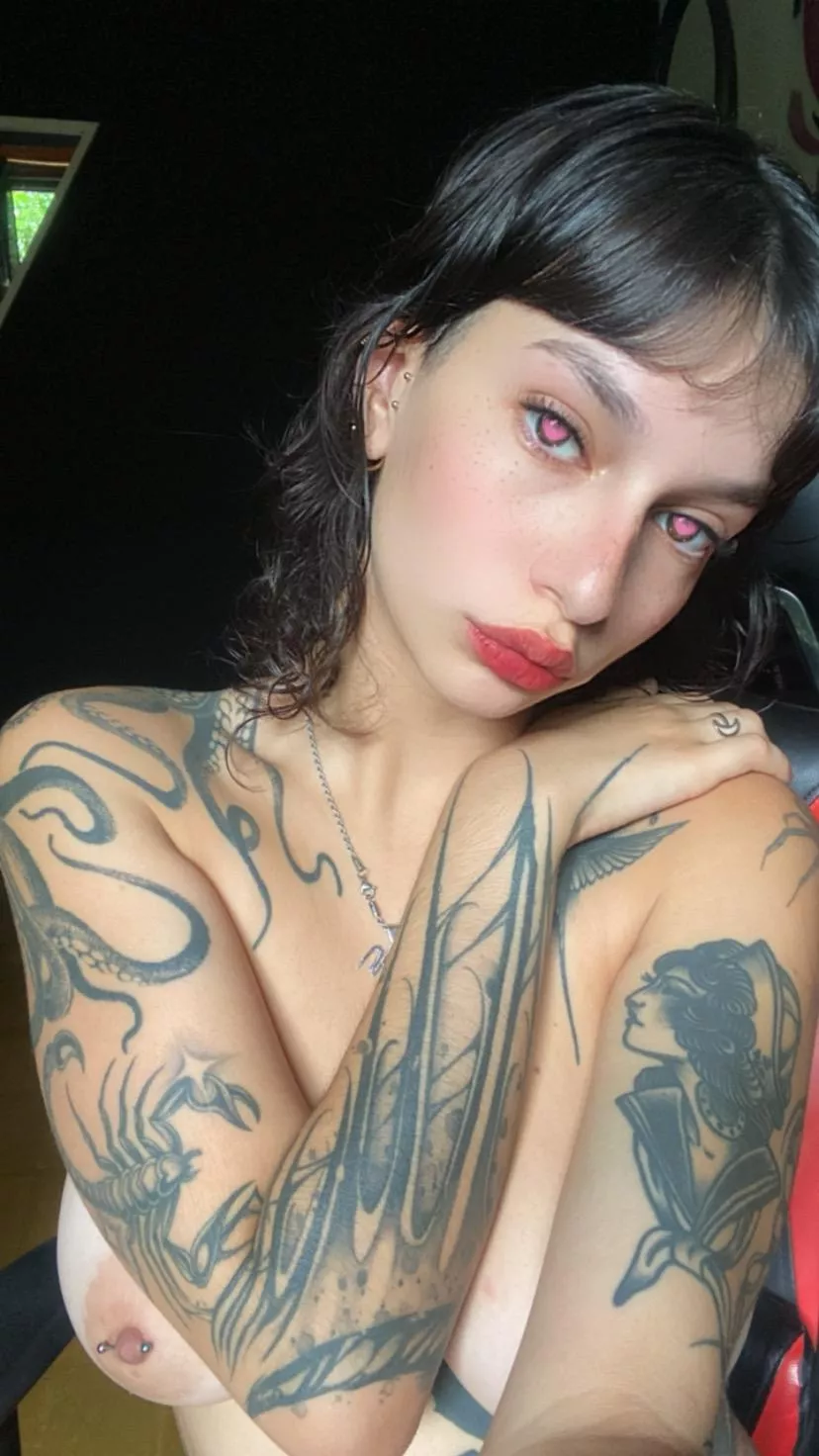 never really had a real cream pie, who will be my test bunny... posted by Evergreeson