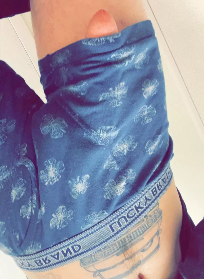 Peek-a-boo posted by Muted_Banana6969