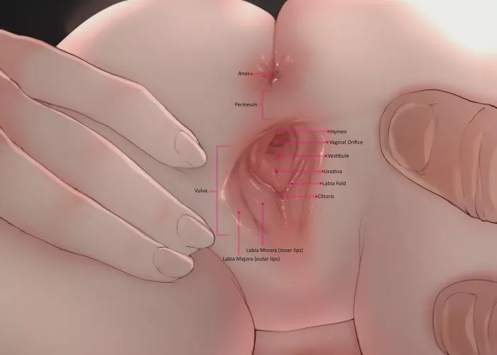 Sex Ed is easier this way by MastColl20