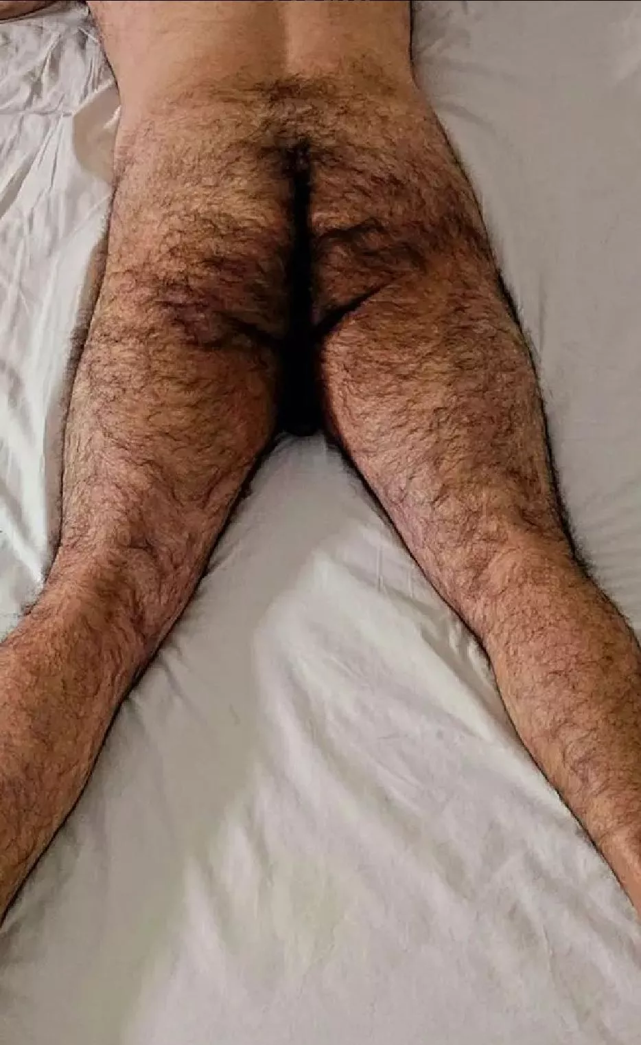 Too much?  posted by trvl11