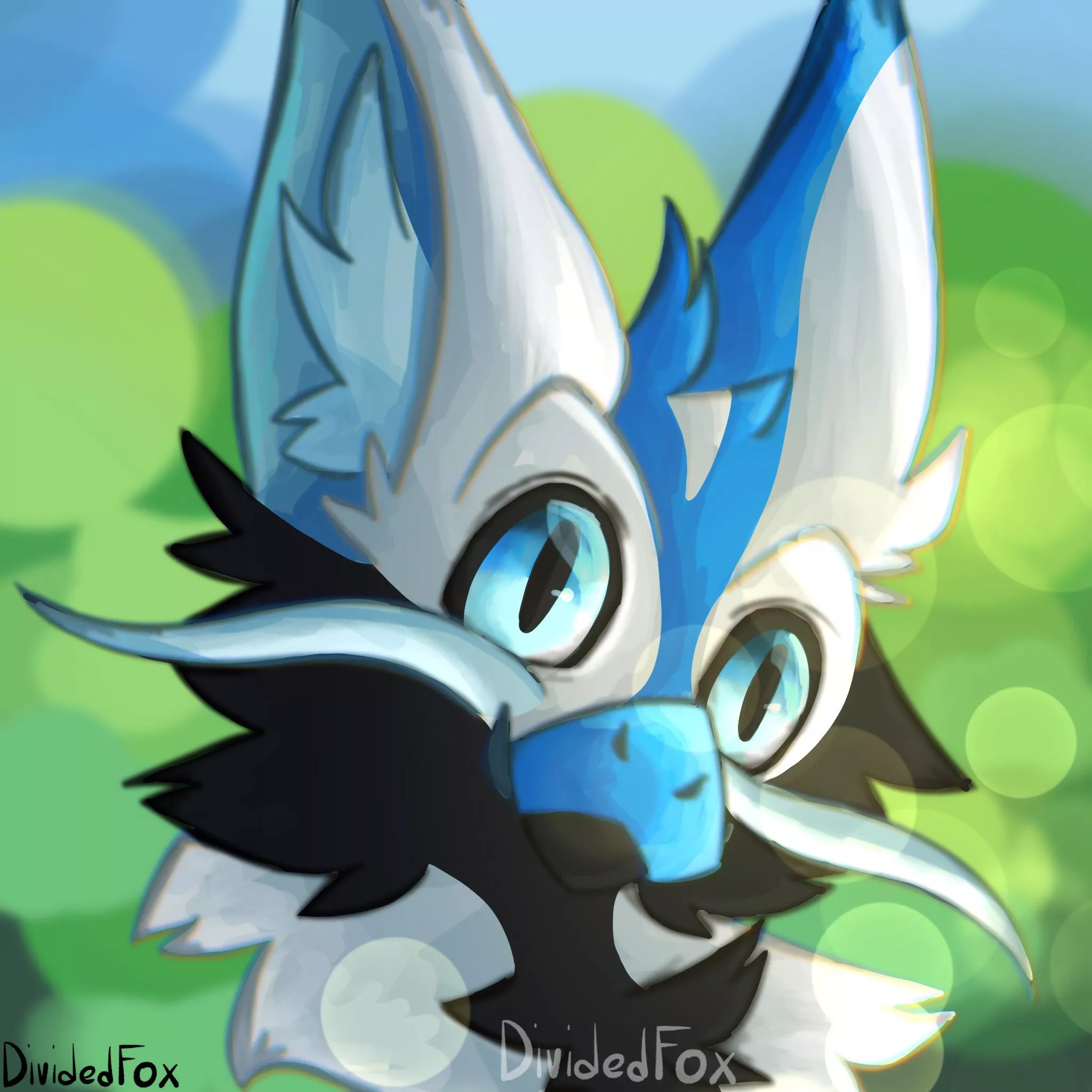 Would you boop? posted by DividedFox
