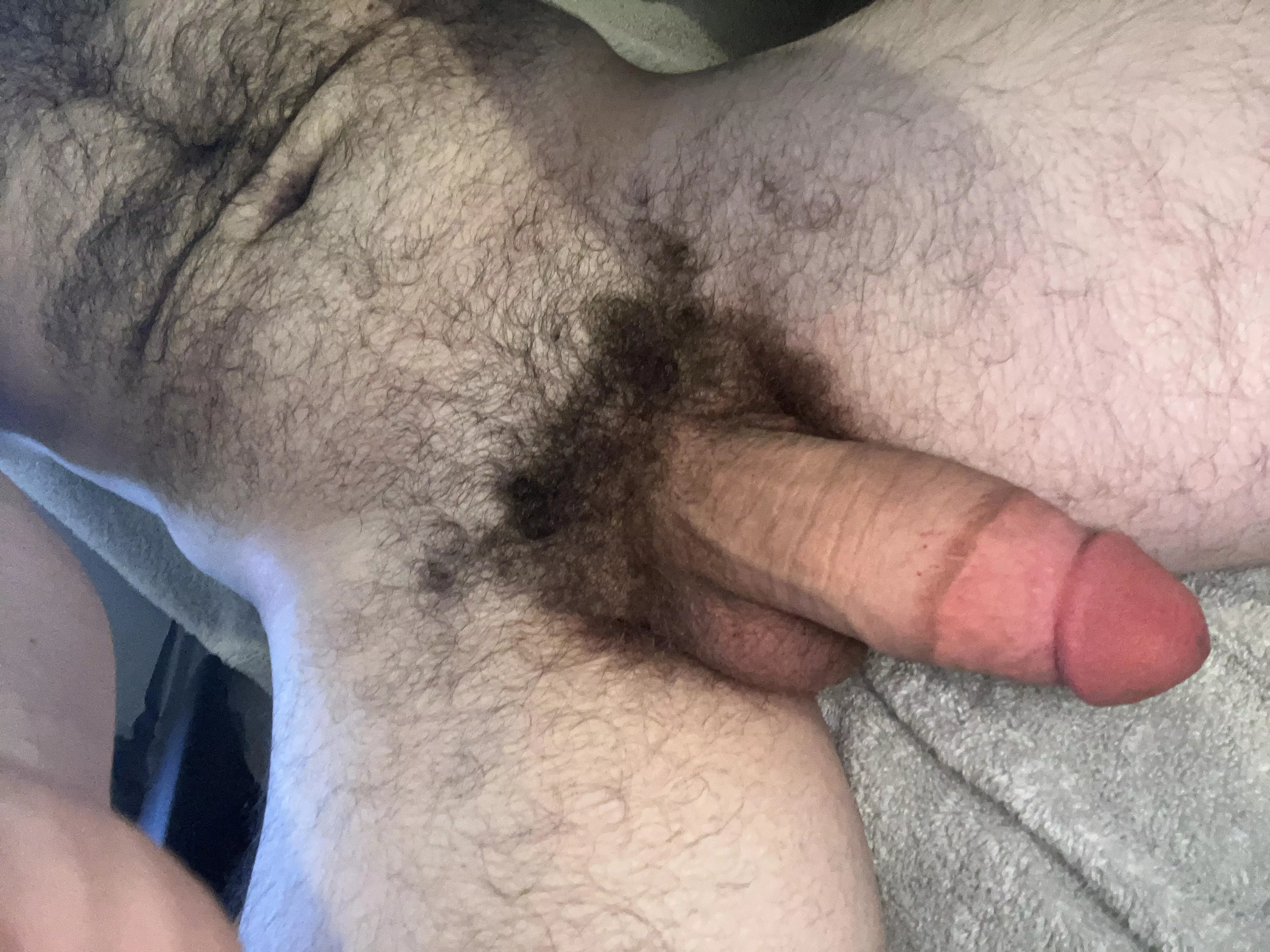 25 muscular and hairy stud with a fat cock looking for femboys and skinny twinks hmu chris_thatguy9 posted by justadude0077