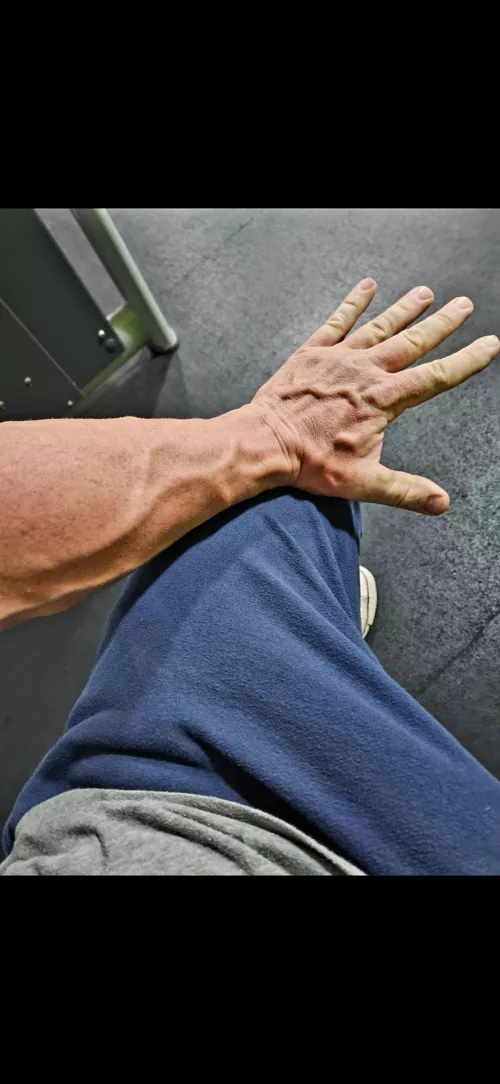 44 New Jersey  by Kc1421