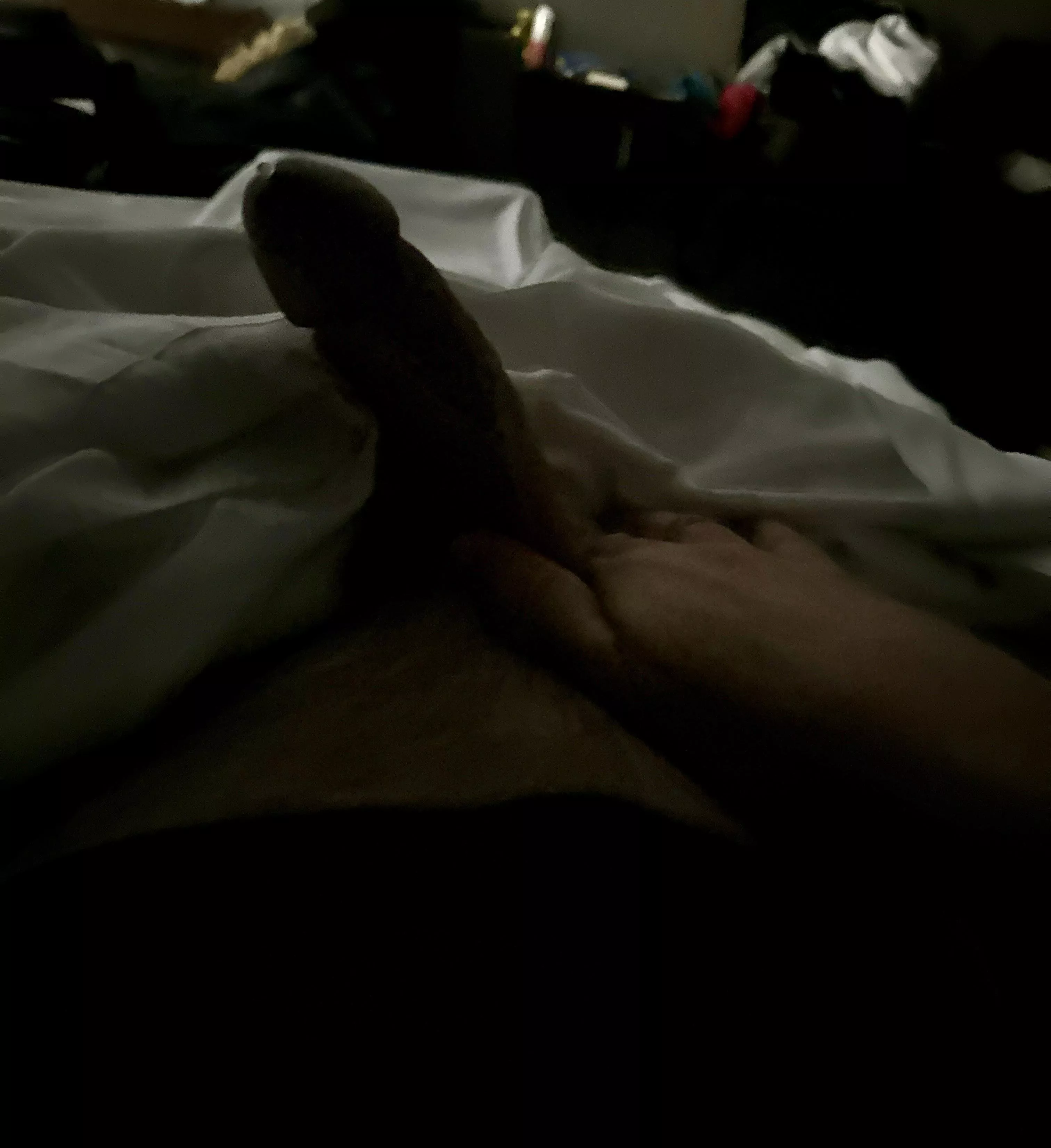 [60] morning wood at first light back lit… first drip posted by NorthAd5184