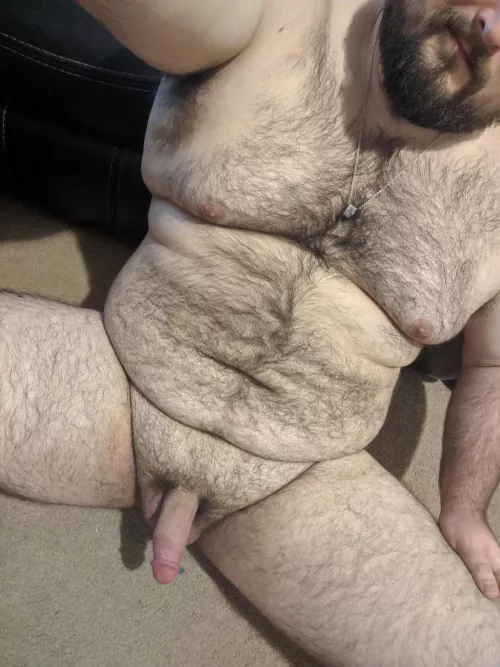 A bear in the wild by atombear69